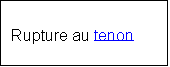 Zone de Texte: Rupture au tenon		





