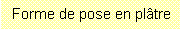 Zone de Texte: Forme de pose en pltre 