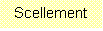 Zone de Texte: Scellement