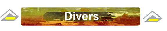 Divers